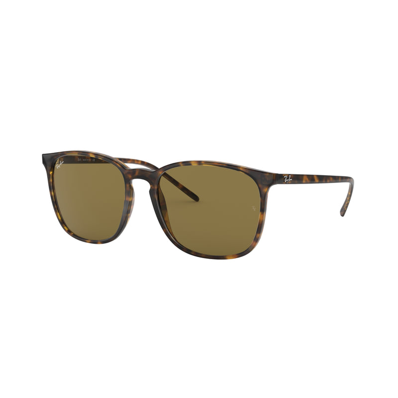 Light Havana 0RB4387 Sunglasses