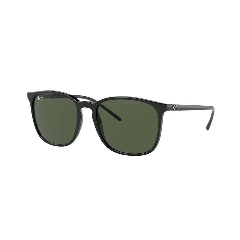 Lunettes de soleil noires 0RB4387