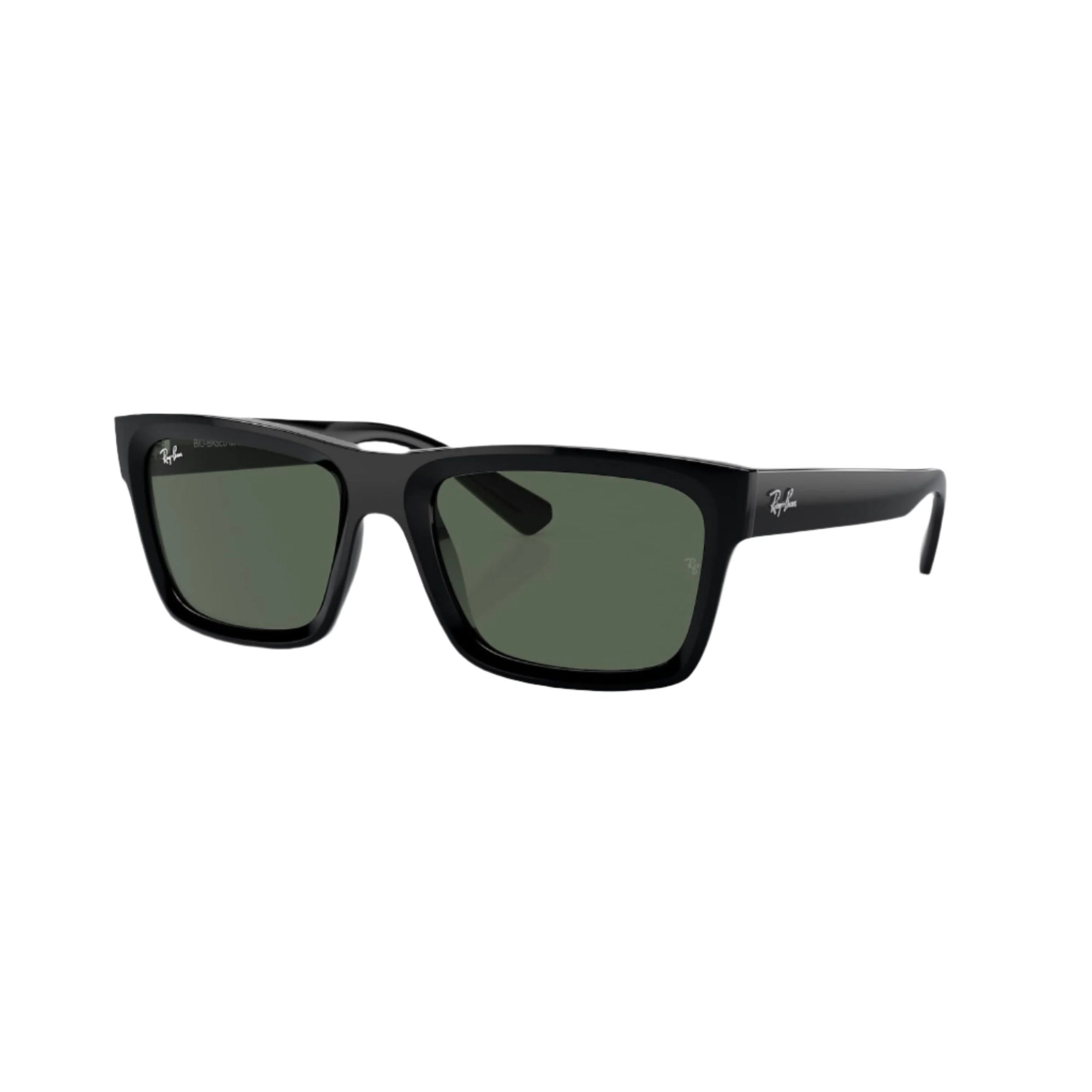 Black Warren Sunglasses
