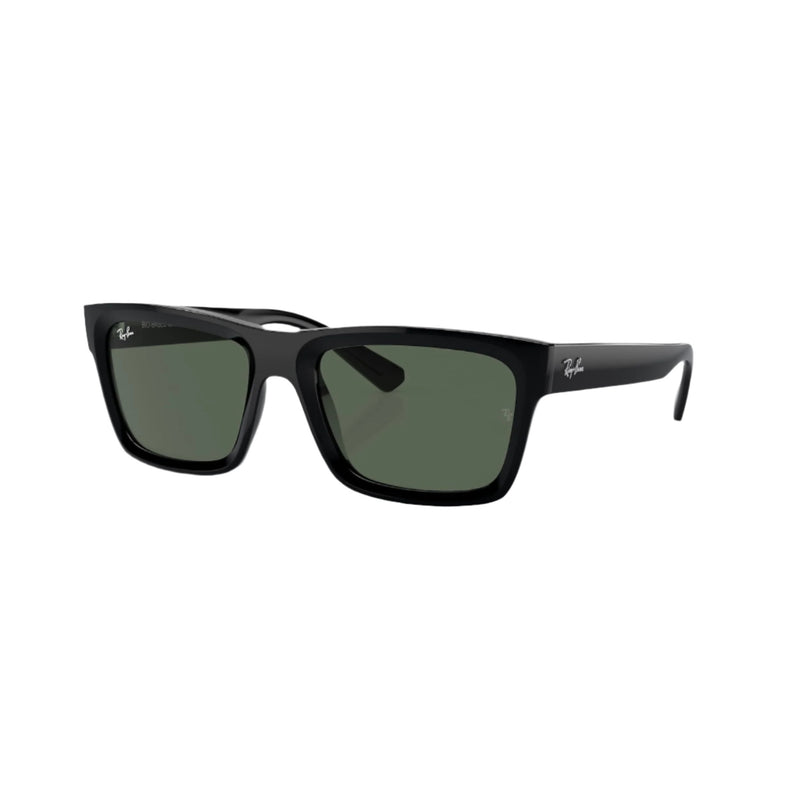 Black Warren Sunglasses