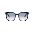 Black RB4401 Sunglasses