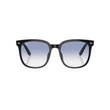 Black RB4401 Sunglasses