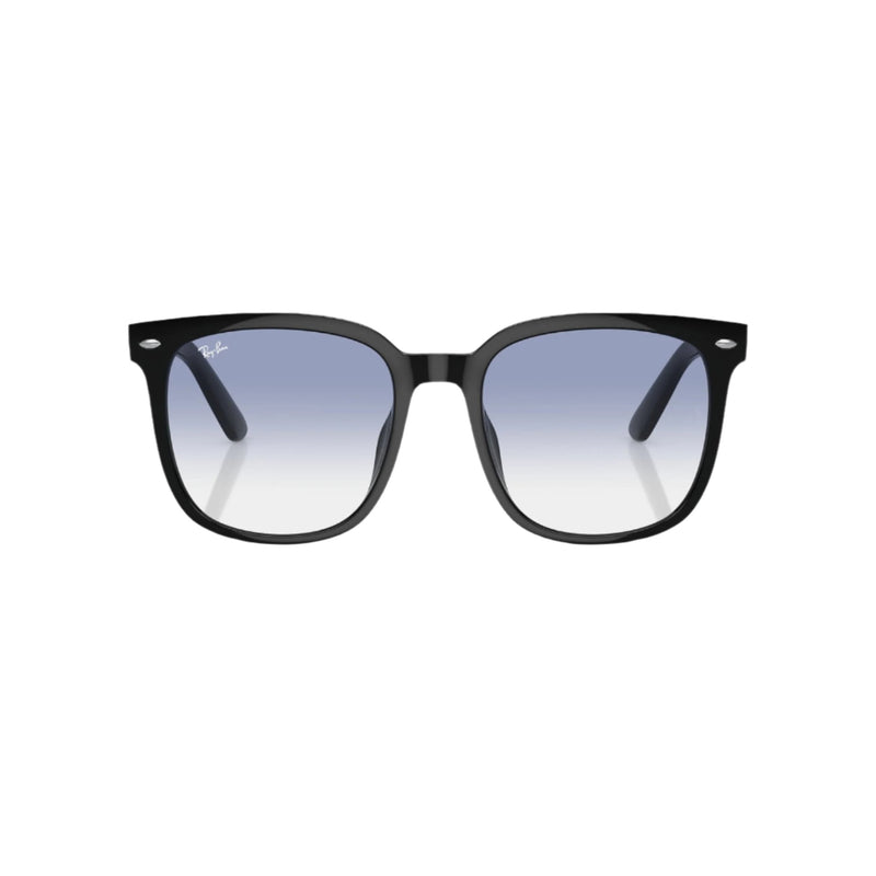 Black RB4401 Sunglasses