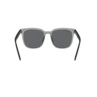 0RB4401D - Transparent Gray