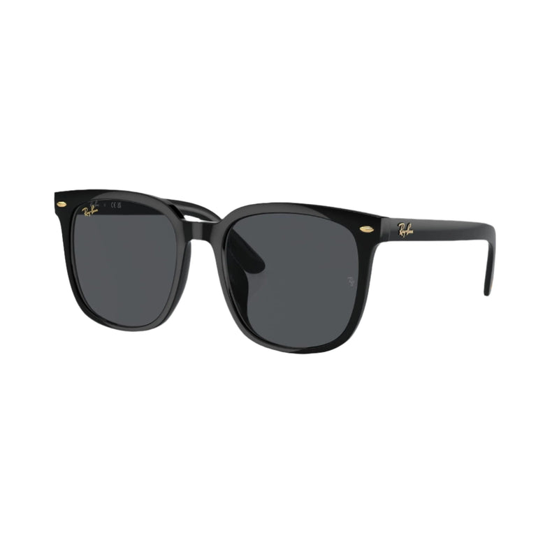 Lunettes de soleil noires 0RB4401D
