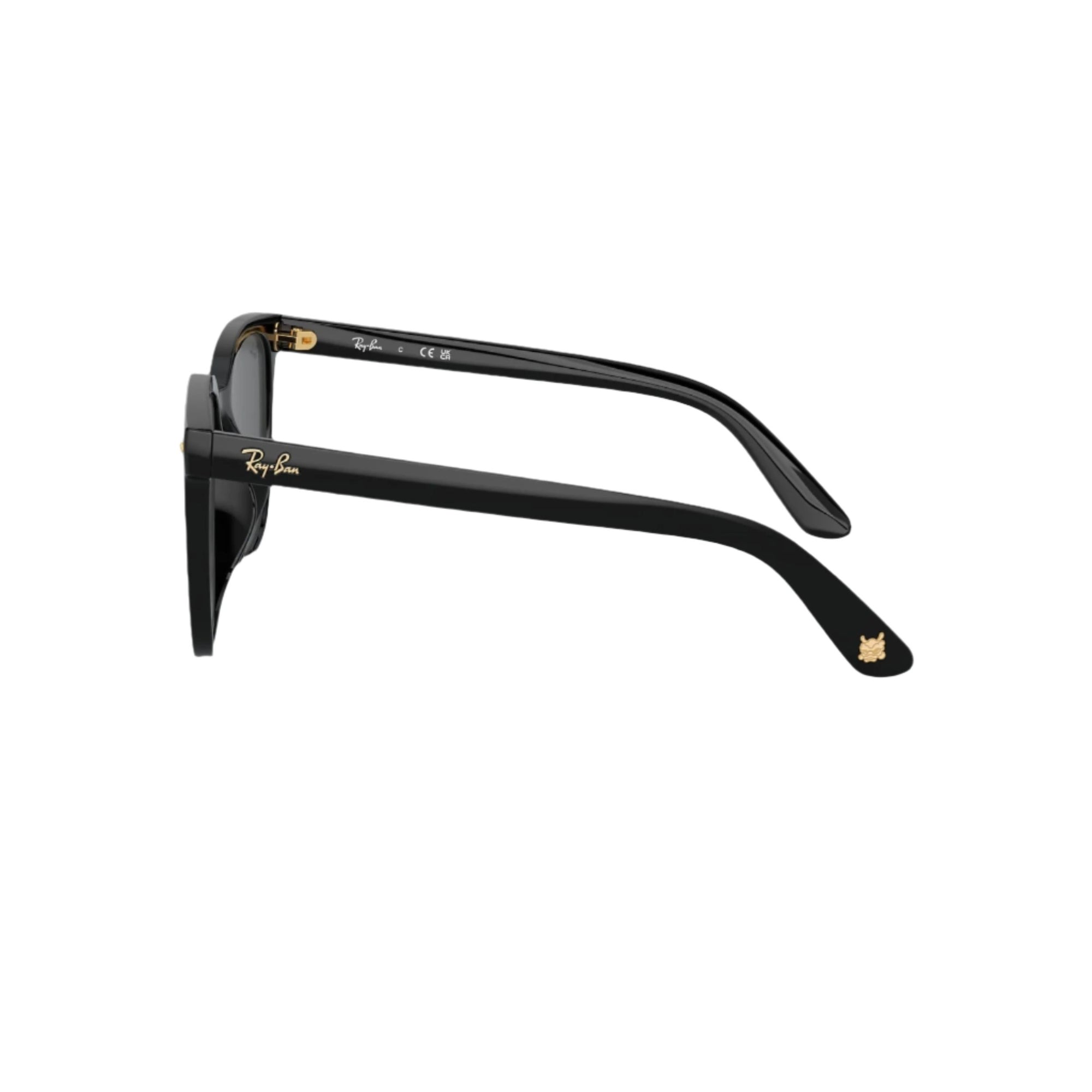 Black RB4401D Sunglasses
