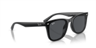 RB4420 - Black