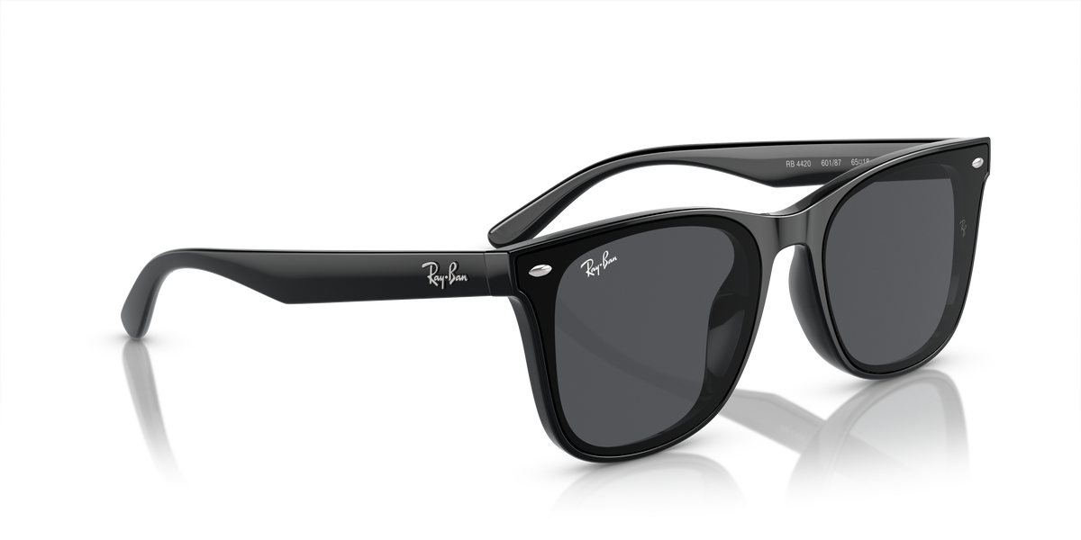 RB4420 - Black-6