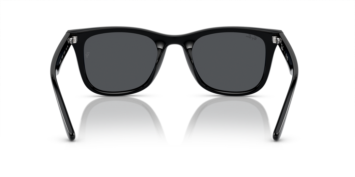 RB4420 - Black-5