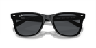 RB4420 - Black