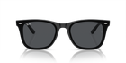 RB4420 - Black
