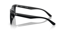 RB4420 - Black