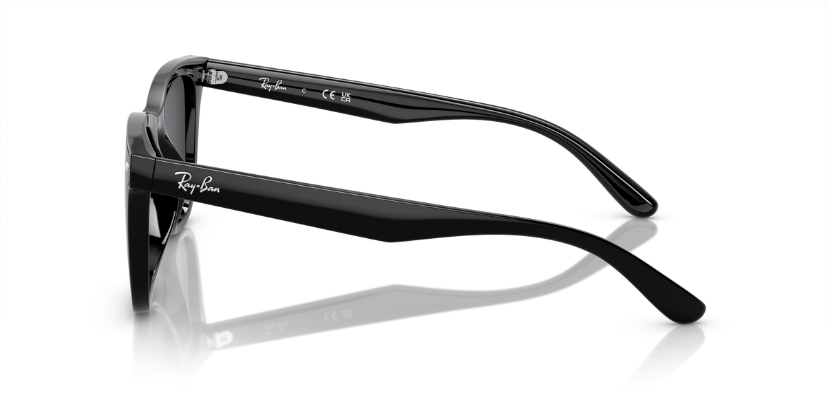 RB4420 - Black-3