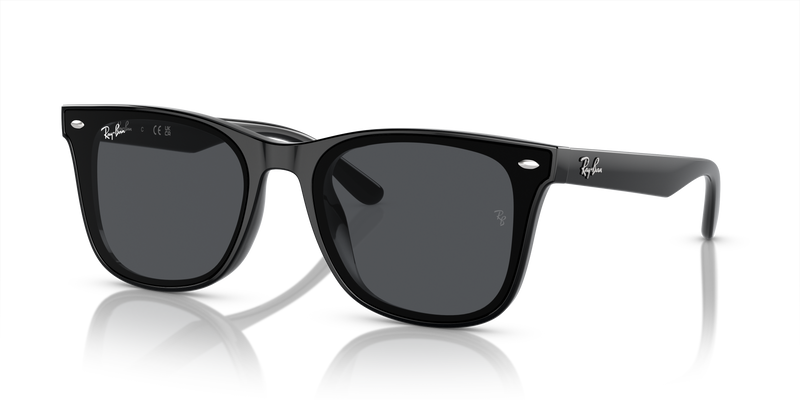 RB4420 - Black
