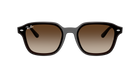 RB4458D - Transparent Dark Brown