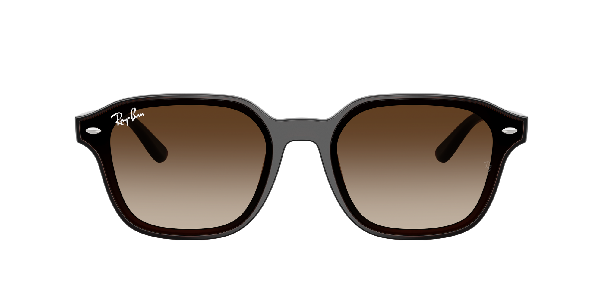RB4458D - Transparent Dark Brown