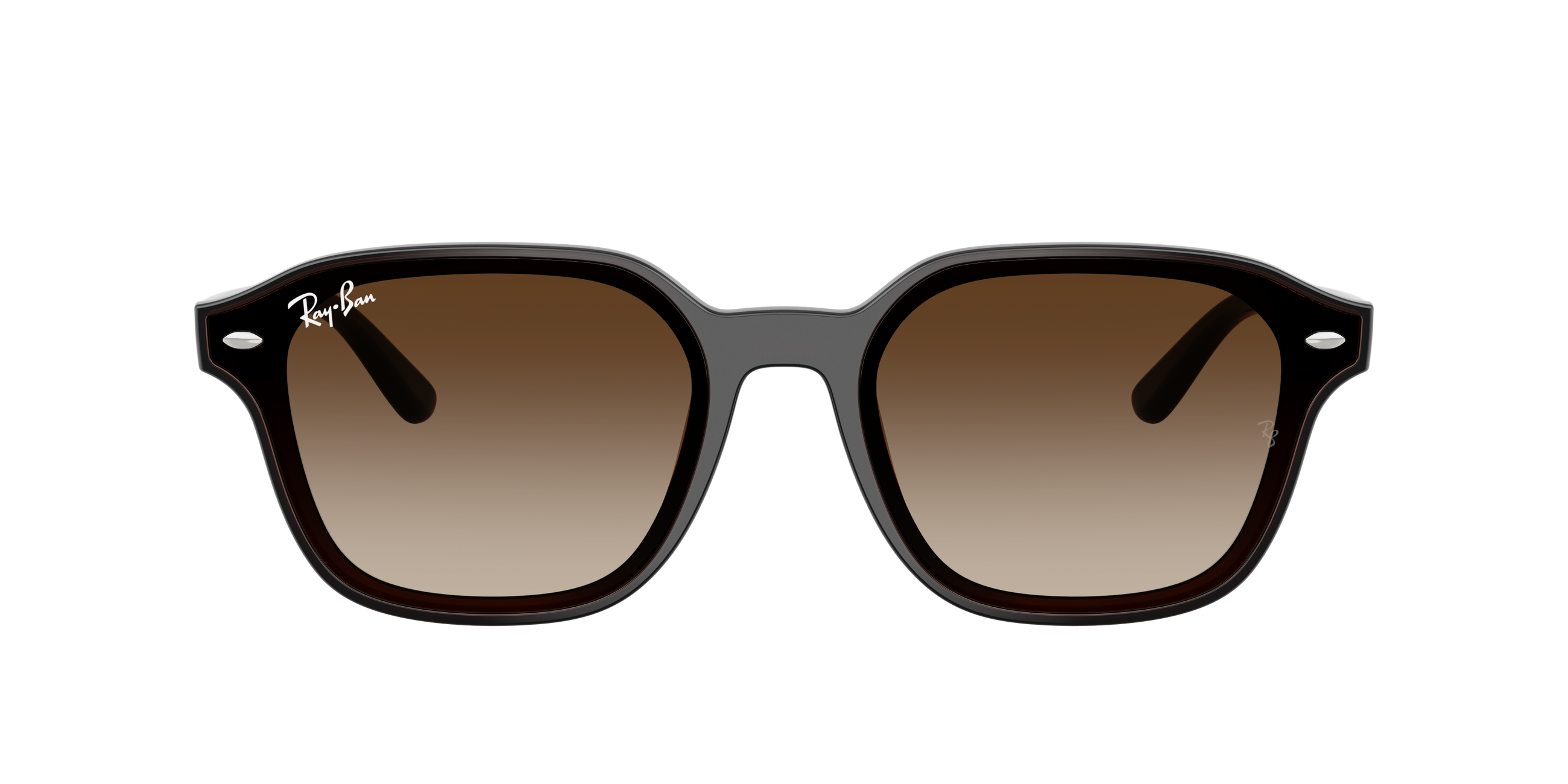 RB4458D - Transparent Dark Brown