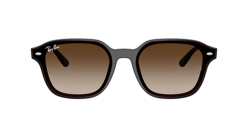 RB4458D - Transparent Dark Brown