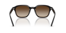 RB4458D - Transparent Dark Brown