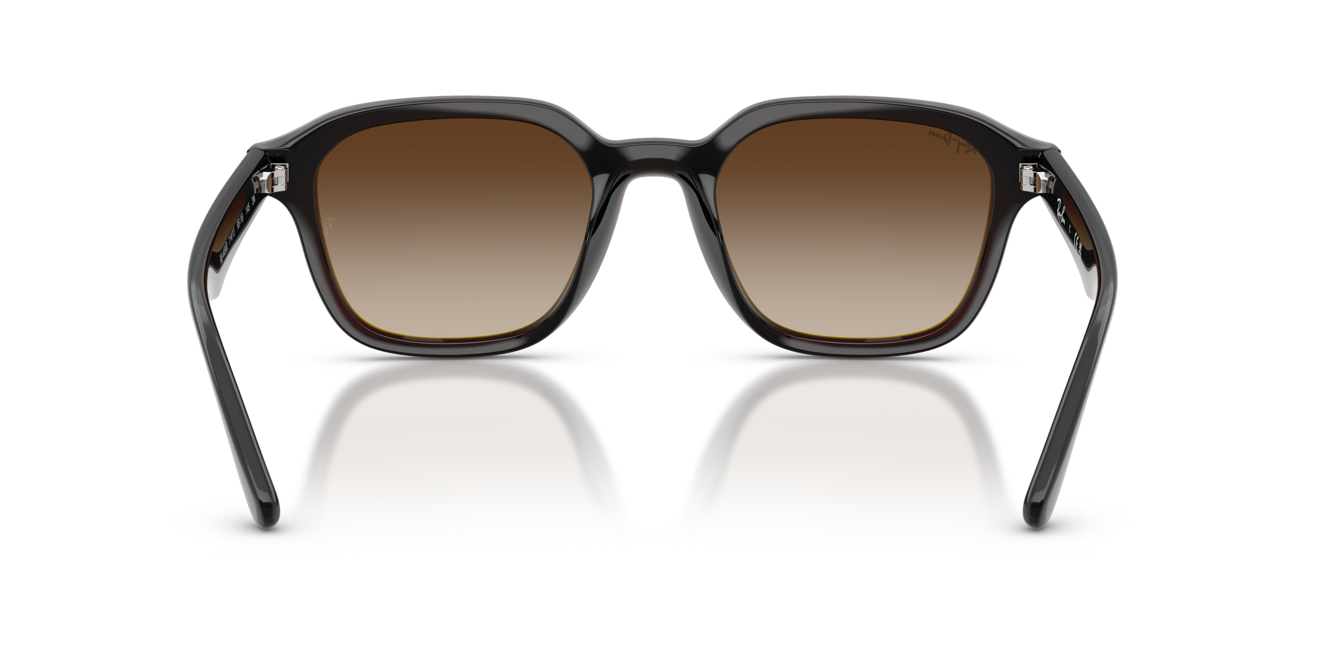 RB4458D - Transparent Dark Brown