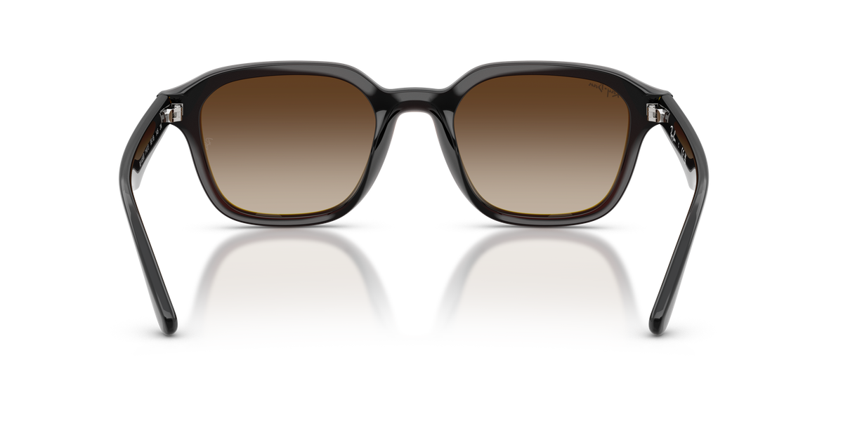 RB4458D - Transparent Dark Brown-5