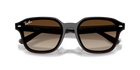 RB4458D - Transparent Dark Brown