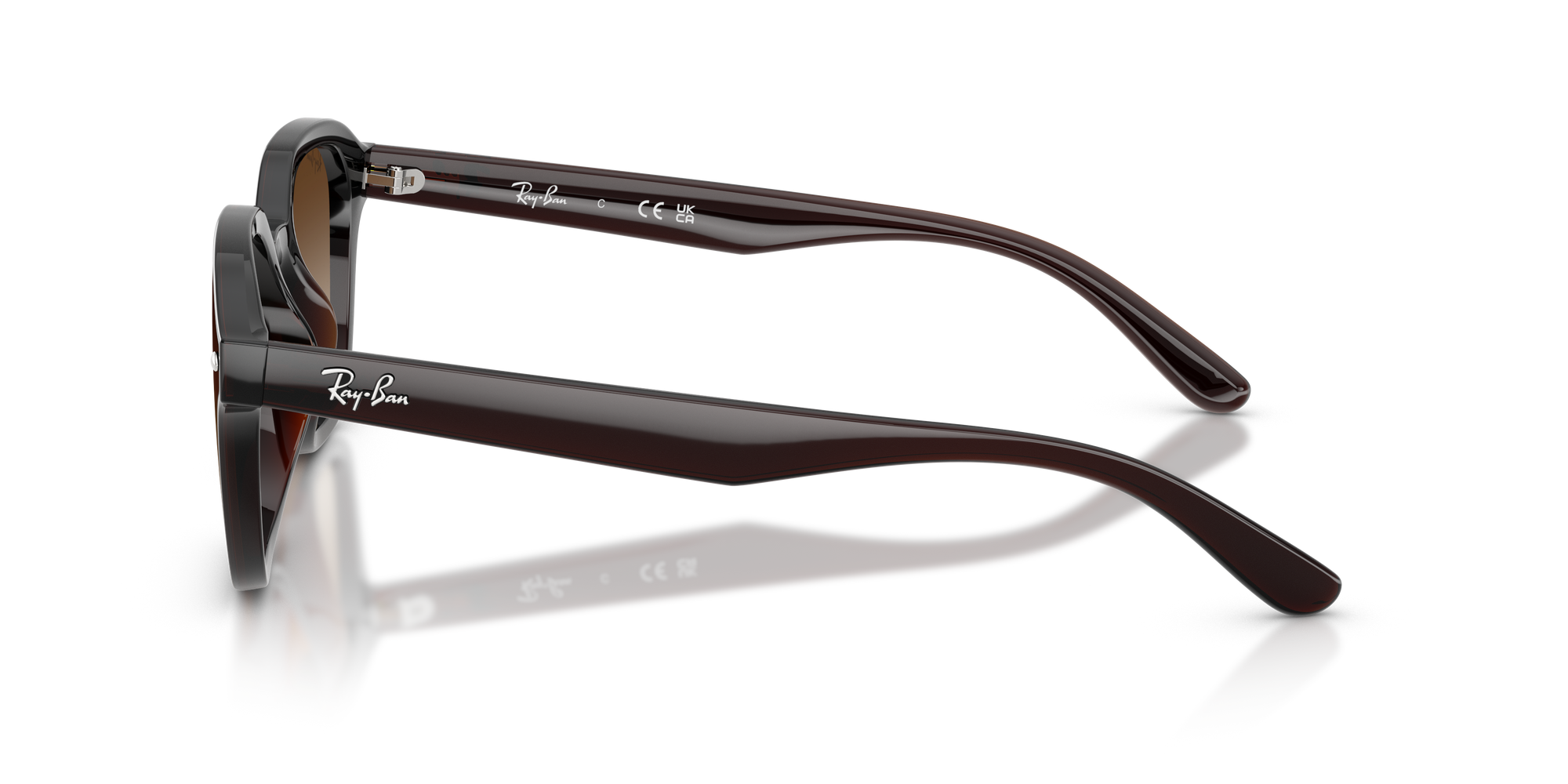 RB4458D - Transparent Dark Brown