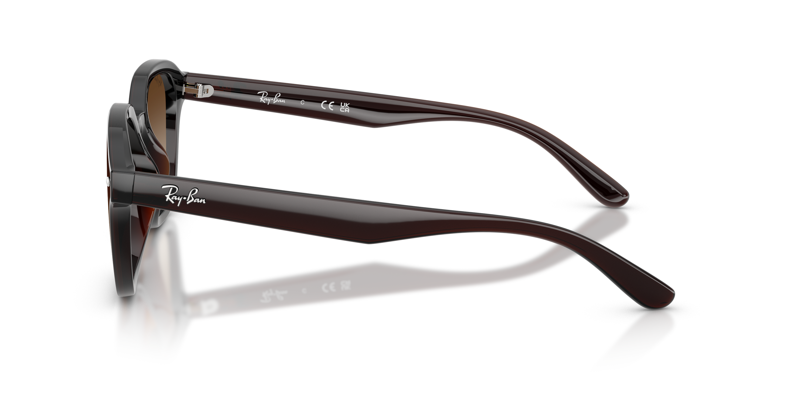 RB4458D - Transparent Dark Brown