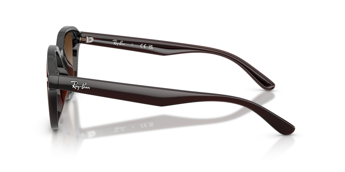 RB4458D - Transparent Dark Brown-3