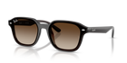 RB4458D - Transparent Dark Brown