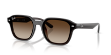 RB4458D - Transparent Dark Brown