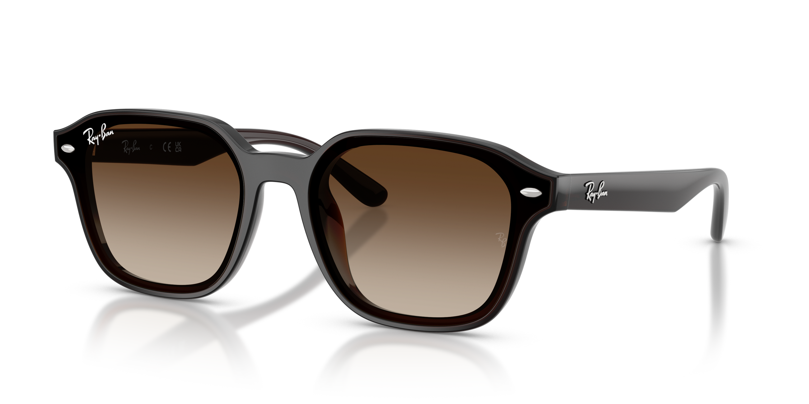 RB4458D - Transparent Dark Brown