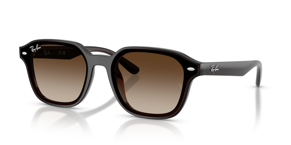 RB4458D - Transparent Dark Brown