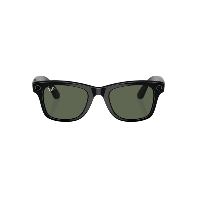 Wayfarer - Meta Shiny Black With G15 Green