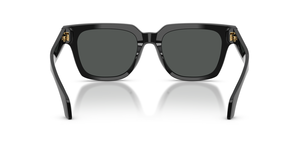 0VE4510U - Black-4