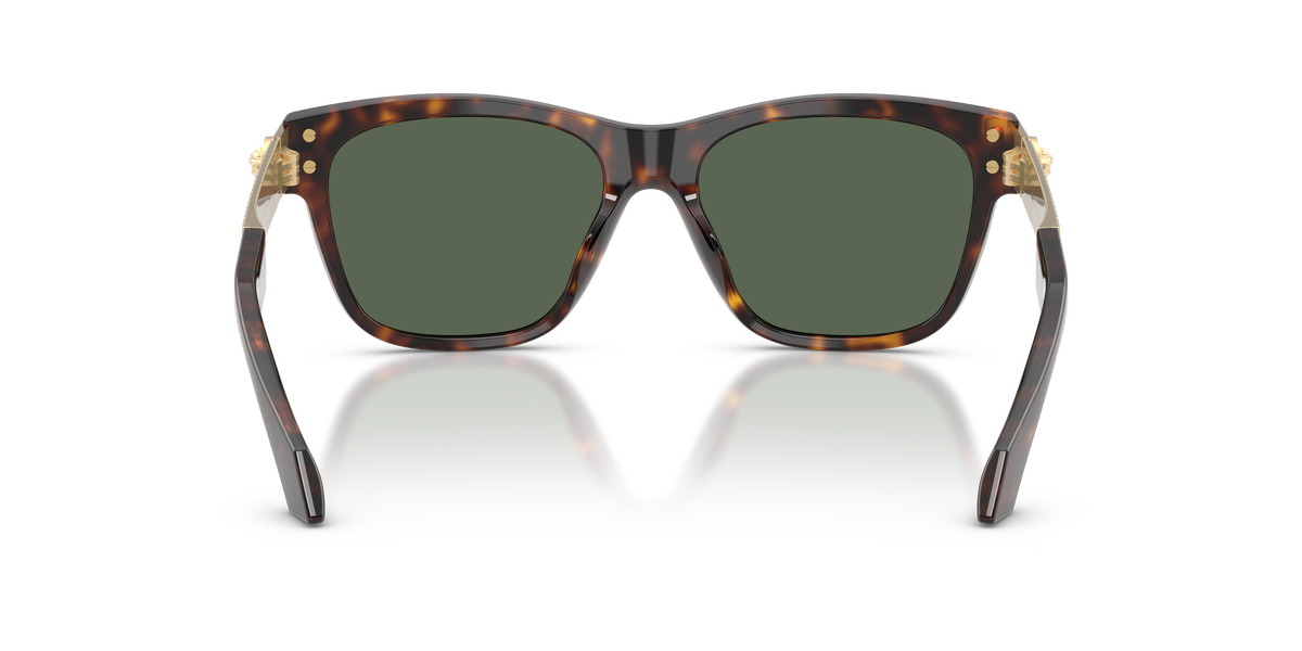 0VE4527U - Brown-4