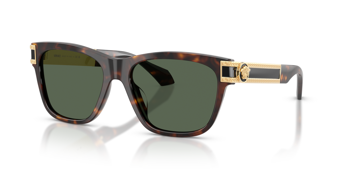 0VE4527U - Brown-1