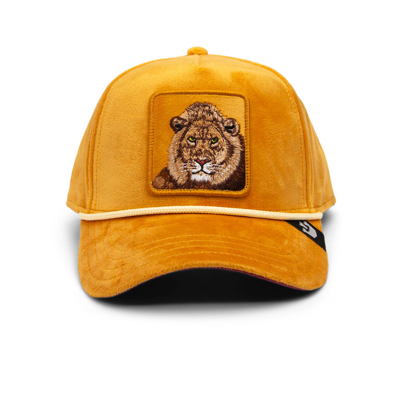 Lion Royalty - Cream