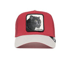 The Panther Burgundy