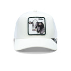 The Cash Cow Ivory