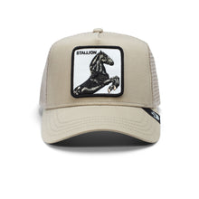 The Stallion Khaki