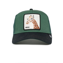 The Giraffe Forest