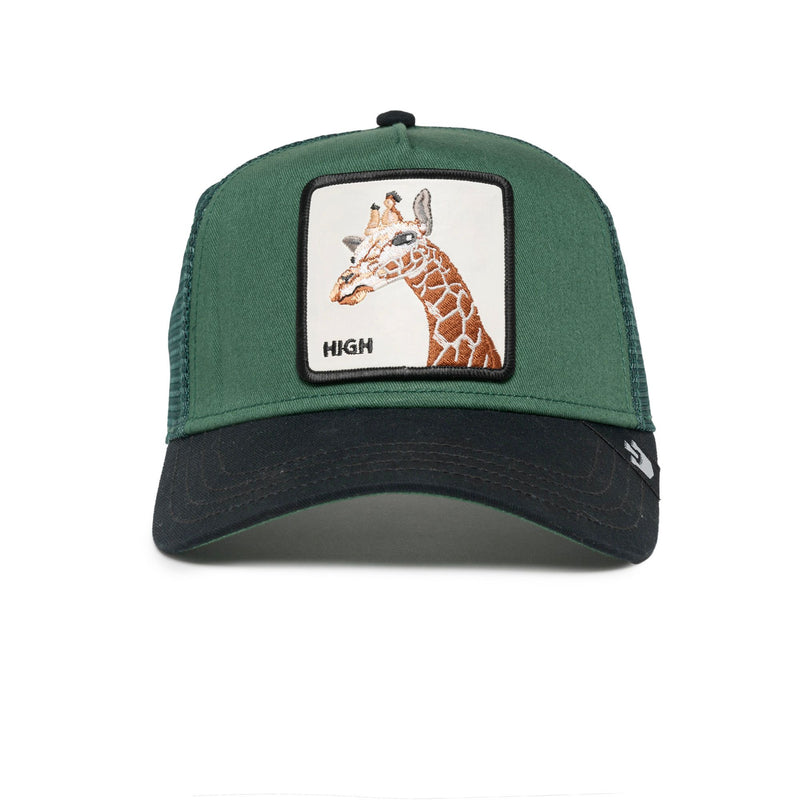 The Giraffe Forest