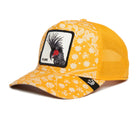 Yellow Spray Paint Arch Hats