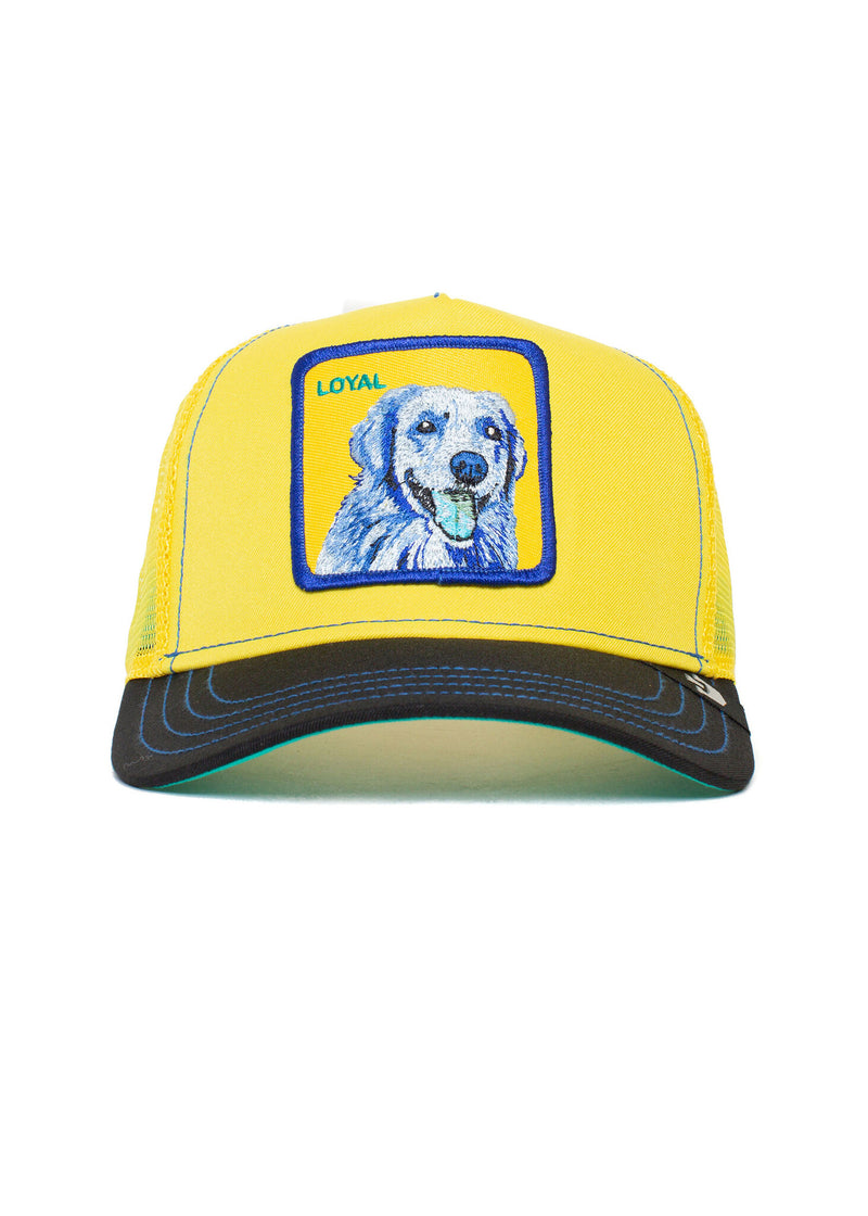Goorin Bros Yellow Doggy Trip