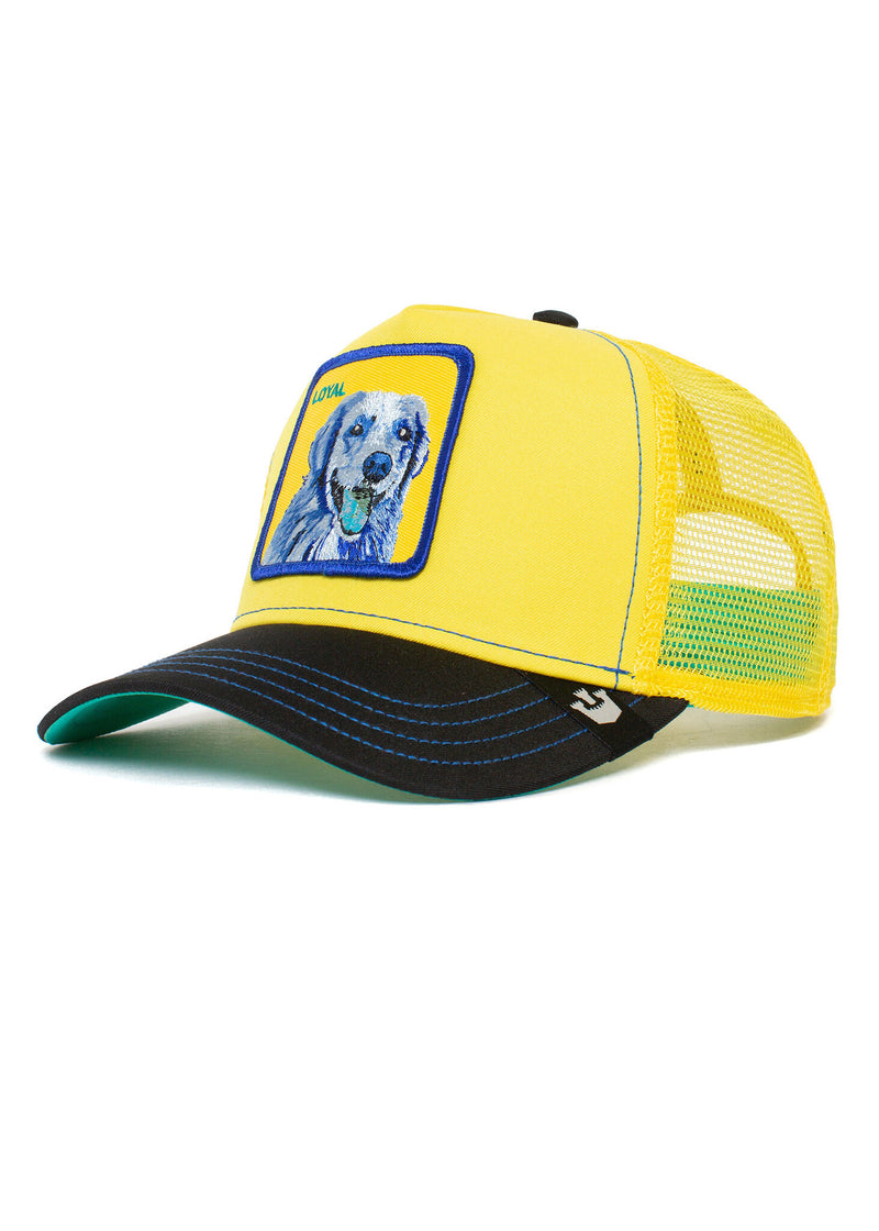 Goorin Bros Yellow Doggy Trip