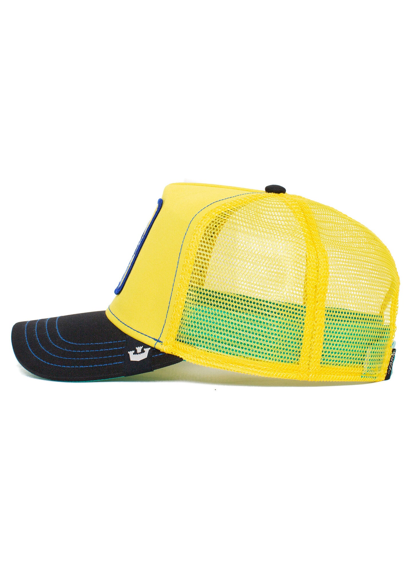 Goorin Bros Voyage en chien jaune