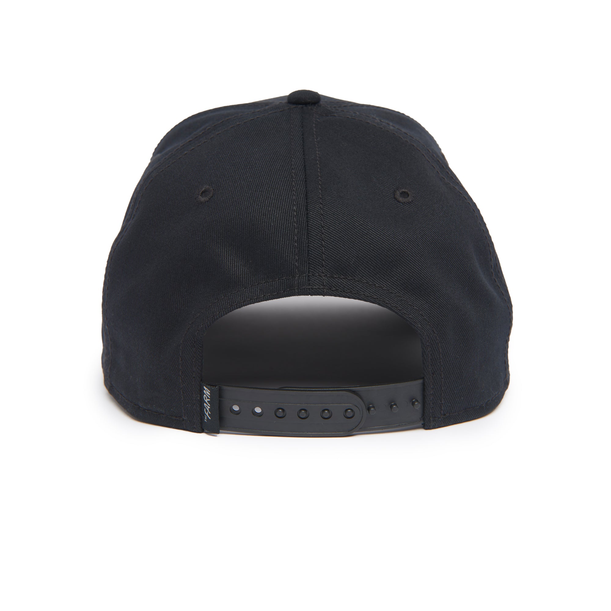 Chien Alpha Noir 100 Chapeaux