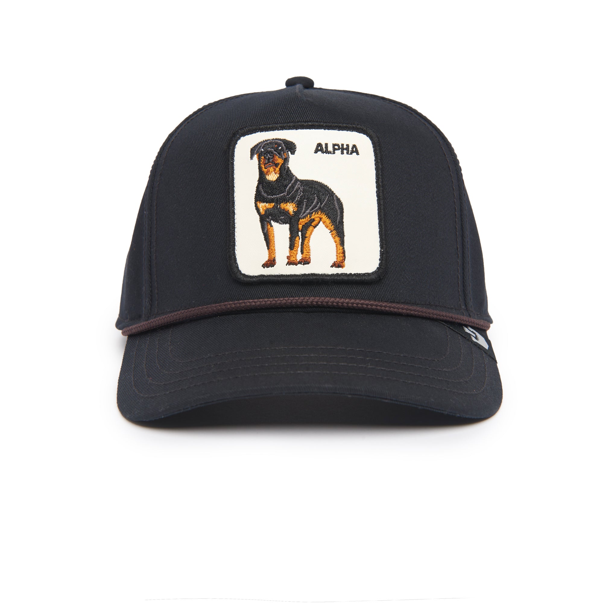 Chien Alpha Noir 100 Chapeaux