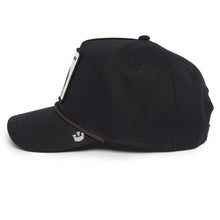 Chien Alpha Noir 100 Chapeaux